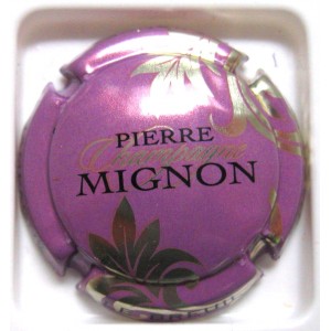 MIGNON PIERRE N°061M MAUVE FEUILLES ARGENT