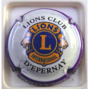 LIONS CLUB VERTUS 2013