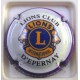 LIONS CLUB VERTUS 2013