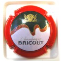 BRICOUT N&deg;13 POLYCHROME