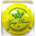 REMI GUY N°02A BLASON JAUNE ET VERT