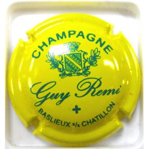 REMI GUY N°02A BLASON JAUNE ET VERT