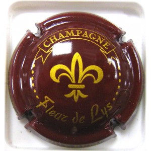 REMI GUY N°02B FLEUR DE LYS MARRON ET OR