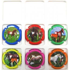 LAPIE-LONGE LES CHEVAUX