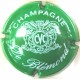 DE BLEMOND  N°02 VERT ET BLANC