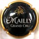 MAILLY CHAMPAGNE N°21 NOIR BRUT RESERVE