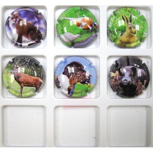 LAGRAVE BOULOGNE N&deg;13 ANIMAUX