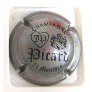 PICARD JEAN-PIERRE N°05D METAL GRIS