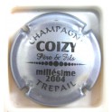 COIZY PERE ET FILS N°10D GRIS BLEUTE