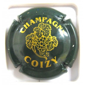 COIZY N°02B VERT ET OR