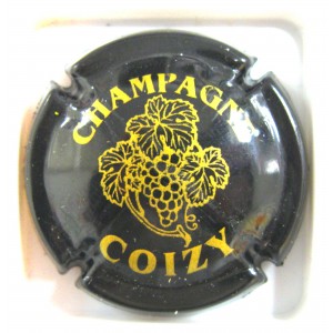 COIZY N&deg;02C NOIR ET OR