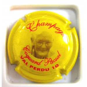 COQUARD PASCAL N°02 JAUNE