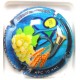 BRISSON-JONCHERE N°083 APC 10 ANS
