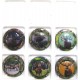 GENERIQUES LE CERF LA SERIE DE 6 CAPSULES