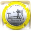 SAINTOT WILLIAM N°02CA 2010 CT JAUNE