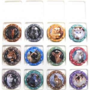 PATIS ANDRE N&deg;41/41K CHATS ET ZODIAQUE