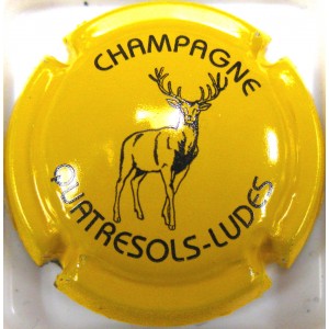QUATRESOLS N°26B CERF FOND JAUNE