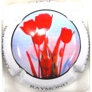 RAYMOND JOEL N°03A FLEURS CT BLANC