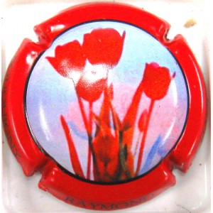 RAYMOND JOEL N°03D TULIPES CT ROUGE