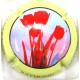RAYMOND JOEL N°03C FLEURS CT CREME