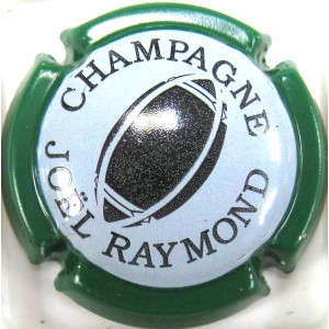 RAYMOND JOEL N°06C RUGBY CT VERT