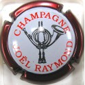 RAYMOND JOEL N°5C BORDEAU
