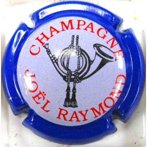 RAYMOND JOEL N°05B COR CT BLEU