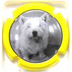 REMY-UZAC JAMES N&deg;25 CONTOUR JAUNE