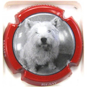 REMY-UZAC JAMES N&deg;25B CONTOUR BORDEAUX