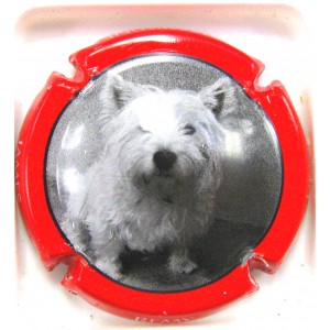 REMY-UZAC JAMES N&deg;25C CONTOUR ROUGE