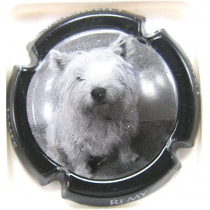 REMY-UZAC JAMES N&deg;25D CONTOUR NOIR