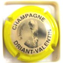 DRIANT-VALENTIN N&deg;14B CT JAUNE