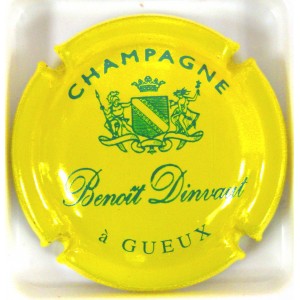 DINVAUT BENOIT N&deg;01 JAUNE ET VERT