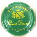 DINVAUT BENOIT N&deg;01 VERT ET OR