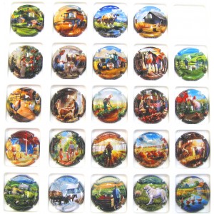 GENERIQUES LA FERME NUMEROTEES DE 1/24 A 24/24
