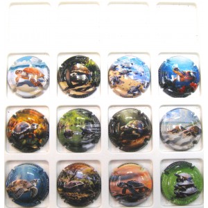 GENERIQUES LES TORTUES LES 12 CAPSULES NUMEROTEES