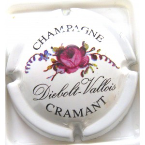 DIEBOLT-VALLOIS N&deg;01ROSE VIOLETTE