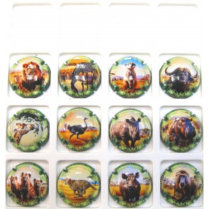 GENERIQUES LA SAVANE LES 12 CAPSULES NUMEROTEES