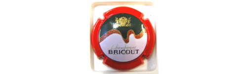 BRICOUT